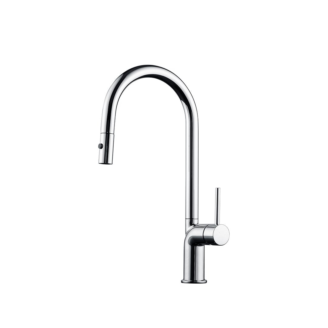 MAIER 43390 Kitchen Faucet Dual Spray