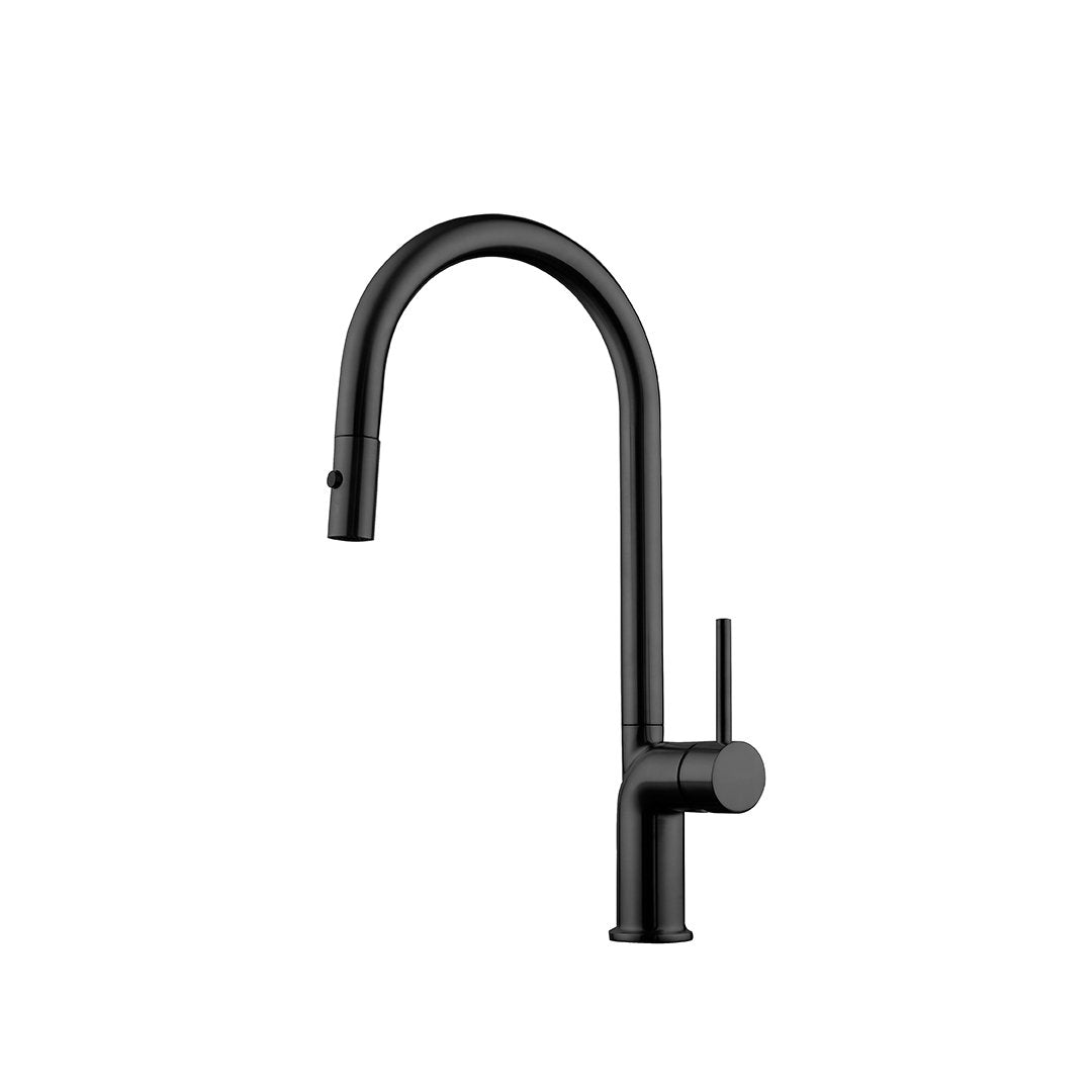 MAIER 43390 Kitchen Faucet Dual Spray